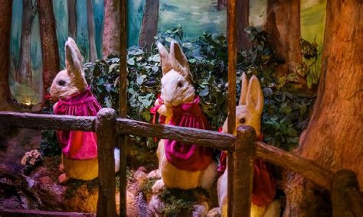 Unveiling The Enchanting World Of California's Celebrity Residents: Discoveries And Insights
