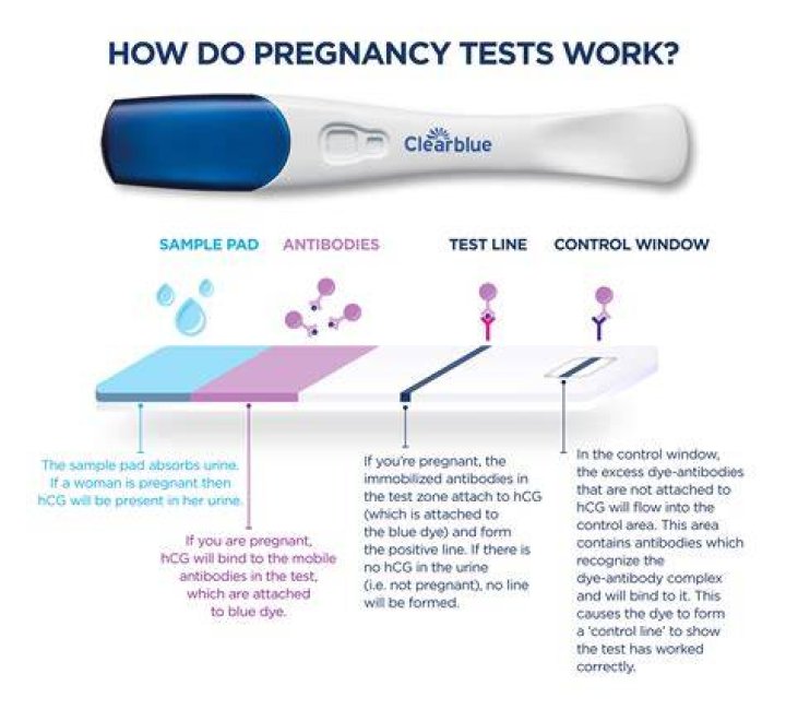 Where To Find Pregnancy Tests When You Need Them Most